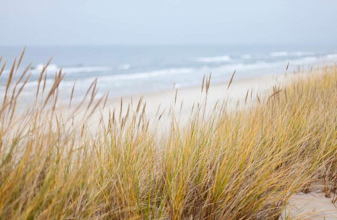 Oase An Der Ostsee Mit 2 Schlafzimmern Heiligenhafen Zewnętrze zdjęcie